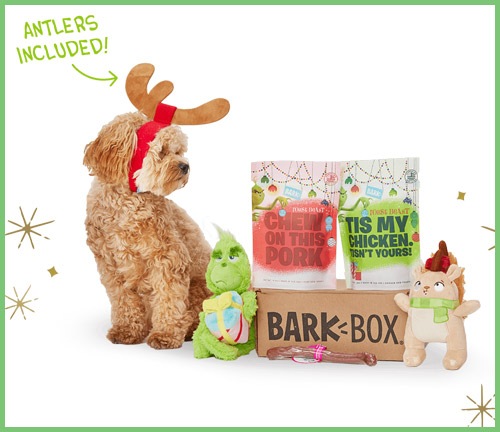 8 Gifts for Your Dog | NurturedPaws.com/Blog