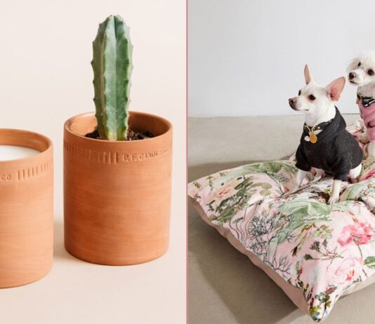 Plant-Inspired Home Decor For Aspiring Green Thumbs