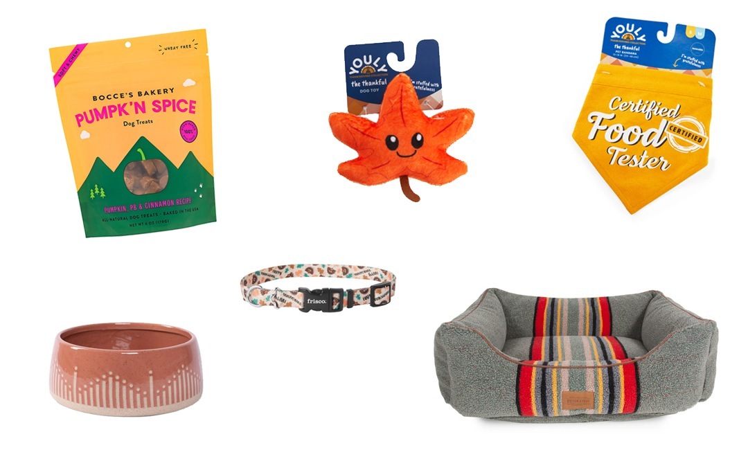 Your Pooch Needs These ThanksgivingThemed Dog Accessories